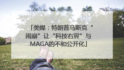 美媒：特朗普马斯克“闹崩”让“科技右翼”与MAGA的不和公开化