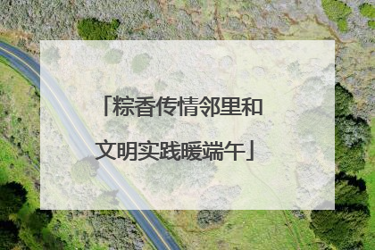 粽香传情邻里和 文明实践暖端午