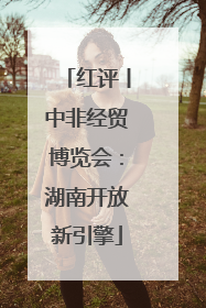 红评丨中非经贸博览会：湖南开放新引擎