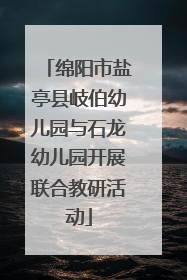 绵阳市盐亭县岐伯幼儿园与石龙幼儿园开展联合教研活动