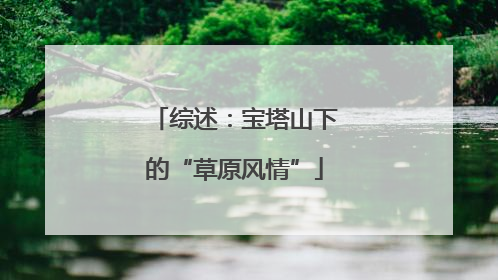 综述：宝塔山下的“草原风情”
