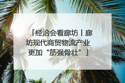 经洽会看廊坊丨廊坊现代商贸物流产业更加“筋强骨壮”