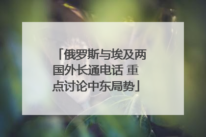 俄罗斯与埃及两国外长通电话 重点讨论中东局势