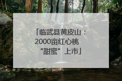 临武县黄皮山：2000亩红心桃“甜蜜”上市