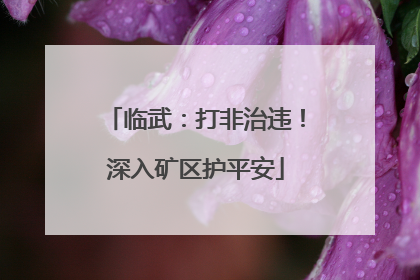 临武：打非治违！深入矿区护平安