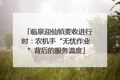 临泉迎仙镇麦收进行时：农机手“无忧作业”背后的服务温度