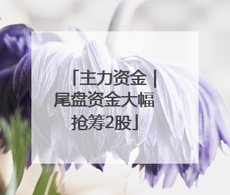 主力资金｜尾盘资金大幅抢筹2股