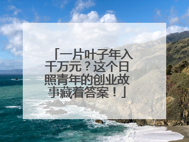 一片叶子年入千万元？这个日照青年的创业故事藏着答案！