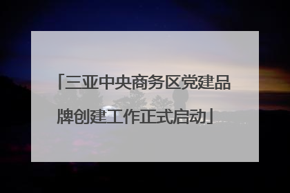 三亚中央商务区党建品牌创建工作正式启动