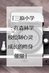 三原小学：在森林学校绘制心灵成长的终身能量