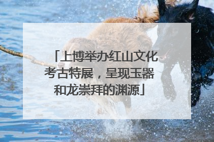 上博举办红山文化考古特展，呈现玉器和龙崇拜的渊源