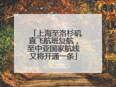 上海至洛杉矶直飞航班复航，至中亚国家航线又将开通一条