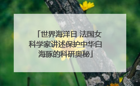 世界海洋日 法国女科学家讲述保护中华白海豚的科研奥秘