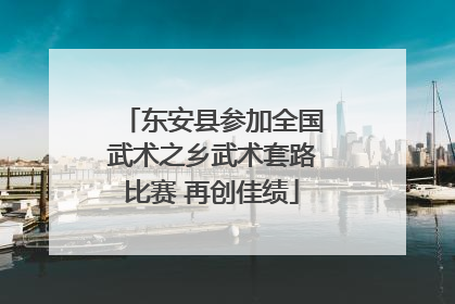 东安县参加全国武术之乡武术套路比赛 再创佳绩