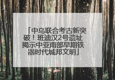 中乌联合考古新突破！班迪汉2号遗址揭示中亚南部早期铁器时代城邦文明