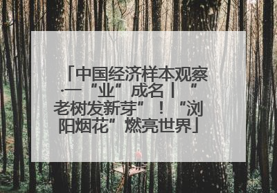 中国经济样本观察·一“业”成名丨“老树发新芽”！“浏阳烟花”燃亮世界