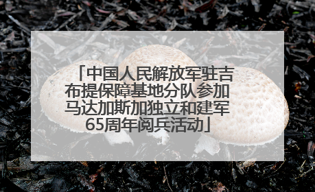 中国人民解放军驻吉布提保障基地分队参加马达加斯加独立和建军65周年阅兵活动