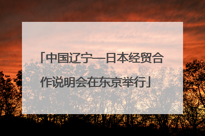 中国辽宁—日本经贸合作说明会在东京举行