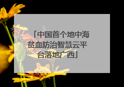 中国首个地中海贫血防治智慧云平台落地广西