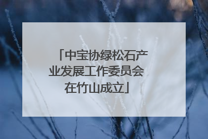 中宝协绿松石产业发展工作委员会在竹山成立