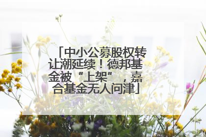 中小公募股权转让潮延续！德邦基金被“上架”，嘉合基金无人问津