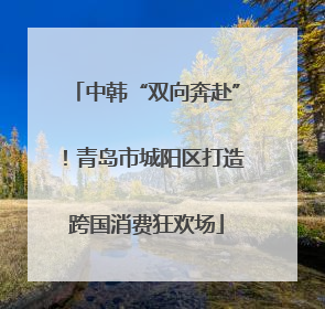 中韩“双向奔赴”！青岛市城阳区打造跨国消费狂欢场