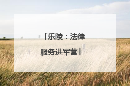 乐陵：法律服务进军营