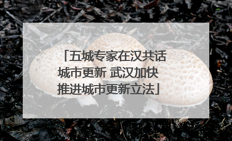 五城专家在汉共话城市更新 武汉加快推进城市更新立法