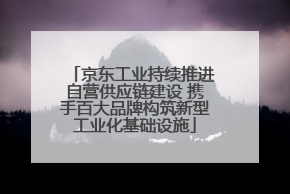 京东工业持续推进自营供应链建设 携手百大品牌构筑新型工业化基础设施