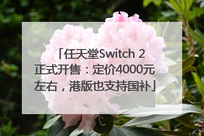 任天堂Switch 2正式开售：定价4000元左右，港版也支持国补