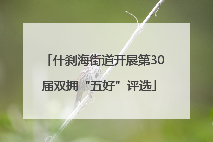 什刹海街道开展第30届双拥“五好”评选