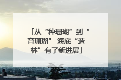 从“种珊瑚”到“育珊瑚” 海底“造林”有了新进展