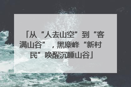 从“人去山空”到“客满山谷”，黑麋峰“新村民”唤醒沉睡山谷