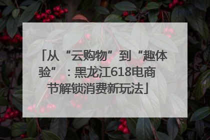 从“云购物”到“趣体验”：黑龙江618电商节解锁消费新玩法