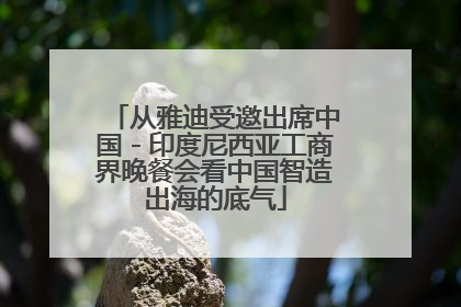 从雅迪受邀出席中国－印度尼西亚工商界晚餐会看中国智造出海的底气