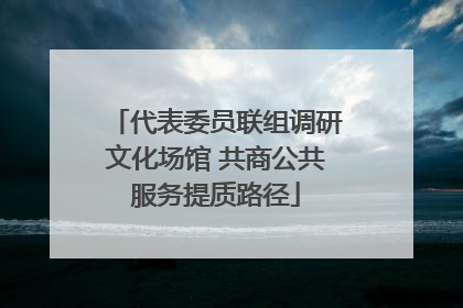 代表委员联组调研文化场馆 共商公共服务提质路径