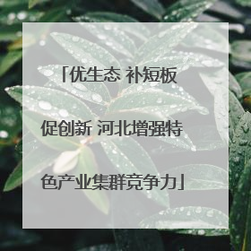 优生态 补短板 促创新 河北增强特色产业集群竞争力