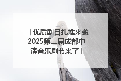 优质剧目扎堆来袭 2025第二届成都中演音乐剧节来了