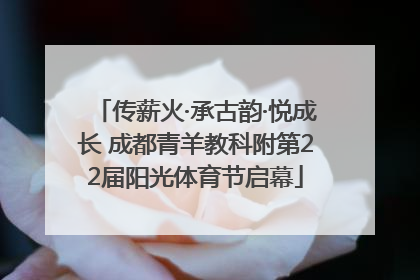 传薪火·承古韵·悦成长 成都青羊教科附第22届阳光体育节启幕