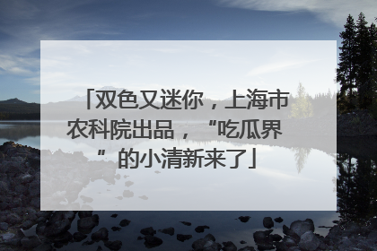双色又迷你，上海市农科院出品，“吃瓜界”的小清新来了