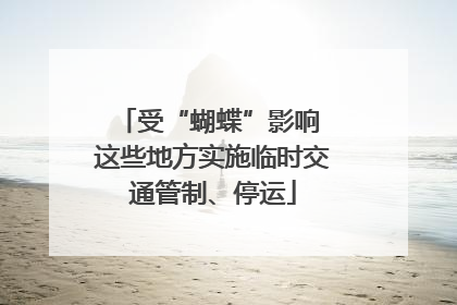 受“蝴蝶”影响 这些地方实施临时交通管制、停运
