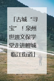 古城“寻宝”！泉州世遗文保学堂走进鲤城临江街道