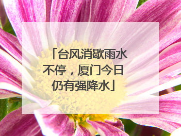 台风消歇雨水不停，厦门今日仍有强降水