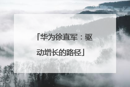 华为徐直军：驱动增长的路径