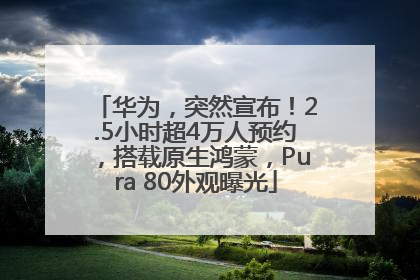 华为，突然宣布！2.5小时超4万人预约，搭载原生鸿蒙，Pura 80外观曝光