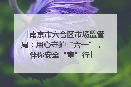 南京市六合区市场监管局：用心守护“六一”，伴你安全“童”行