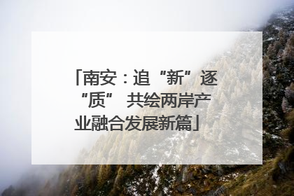 南安：追“新”逐“质” 共绘两岸产业融合发展新篇