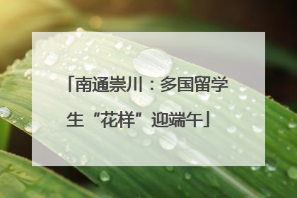 南通崇川：多国留学生“花样”迎端午