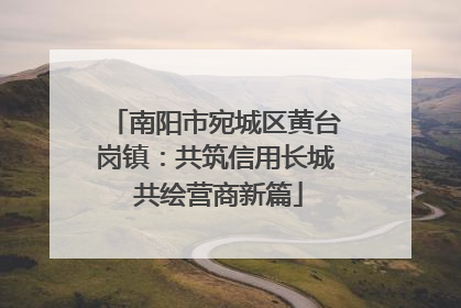 南阳市宛城区黄台岗镇：共筑信用长城 共绘营商新篇