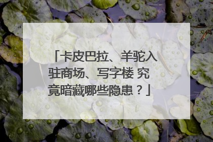 卡皮巴拉、羊驼入驻商场、写字楼 究竟暗藏哪些隐患？